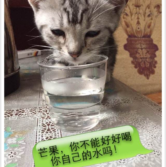 PitzerCollege酒店管理毕业证